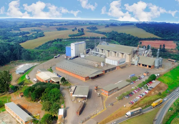 Coocam celebra 33 anos fortalecendo o cooperativismo e o produtor rural