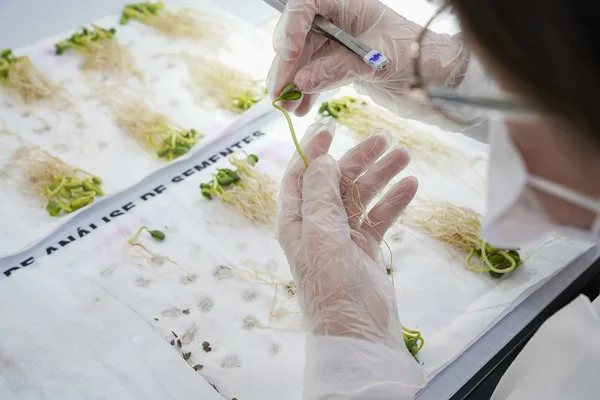 LAS Copercampos alcança 100% de conformidade em ensaio de proficiência para soja